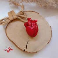 جاسوئیچی قلب آناتومی با خمیر پلیمری